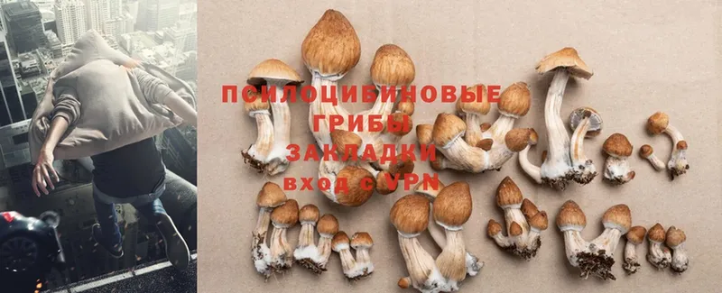 купить закладку  Ишимбай  Псилоцибиновые грибы Cubensis 